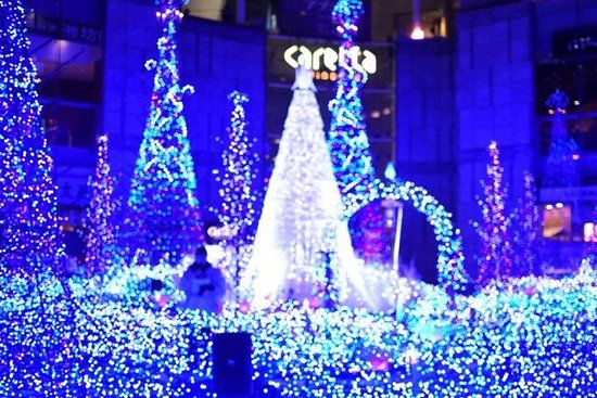 Shiodome City Center Winter Illumination